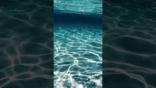 நீலப்பளிங்கு போல் ஜொலிக்கும் Hawaii Ocean💦💙.|பிரம்மிப்பூட்டும் சமுத்திரம்