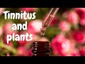 10+ essential oils for tinnitus