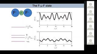 Stephen Blundell: The muon-fluorine interaction: a model quantum system for exploring decoherence