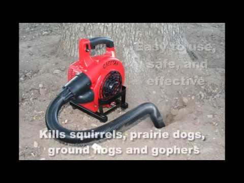 Cheetah rodent control machine 1106 Cheetah rodent control machine 1106