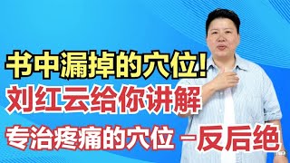 书中漏掉的穴位！刘红云给你讲解，专治疼痛的穴位