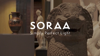 SORAA Illuminates Showcases at the Ashmolean Museum in Oxford