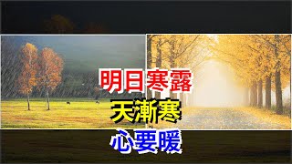 明日寒露，天漸寒，心要暖，[心靈驛站]