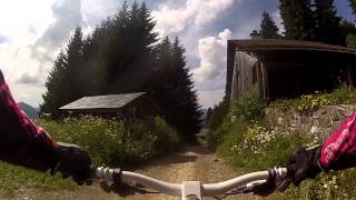 Morgins - freeride downhill track - lot's of fun!