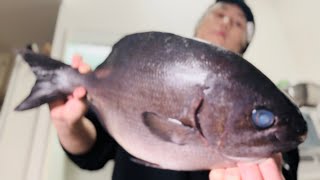 通称【ババタレ】この不憫な魚を救いたい【イスズミ】