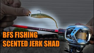 BFS Fishing Z-Man Scented Jerk ShadZ on a Jig!