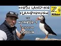 Flamborough Head - Perfect for Puffins