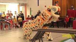 新加坡联义龙狮体育会 | Lian Ghee Dragon \u0026 Lion Dance Association (Singapore)