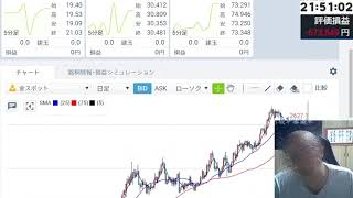 [FX教材動画] 　ロスカットアラートが発動する中、建玉1億1000万円のまま、CPI発表を迎えてみた結果・・・　FX 大損　FX　ロスカット　石破ショック　FX教材動画　60歳からのFX