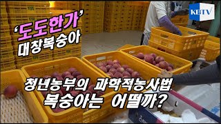 청년농부에게 듣는다!  맛있는 복숭아농사, 과학적 방식으로 도전한다.