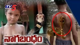 TV5 Effect : అఖిల్ ను కలలో కాటేస్తున్న కాలనాగు : నాగబంధం గురించి బయటపడ్డ అసలు రహస్యం..! | TV5 News