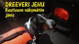 Dreeveri Jehu ja Ruutisuon näkymätön jänis