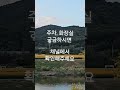 가을필수 코스 금호꽃섬 가을 산책 코스모스 댑싸리 대구 데이트