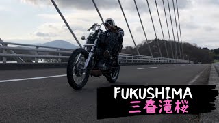 【福島】日本三大桜　三春滝桜　SR400  早朝ツーリング　春っていいね！！　Chopper