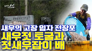 새우의 고장 임자 전장포 새우젓 토굴과 젓새우잡이배