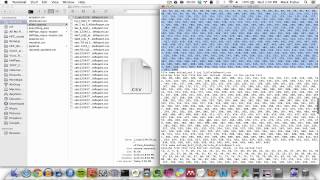 HeFPipe Tutorial-Using HeFPipe (Pt. 1)-Processing the allele reports and running GenePop