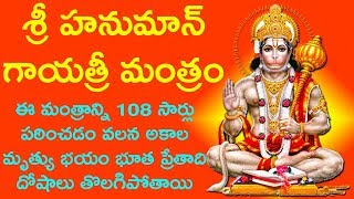 ఈ మంత్రాన్ని108 సార్లు జపిస్తే భూత ప్రేతాది దోషాలు తొలిగిపోయి అపారమైన శక్తి మీ వెంటే  Hanuman Mantra