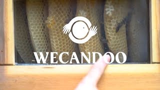 Wecandoo - Perrine, Artisan Apicultrice - Bordeaux