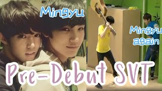 Seventeen pre-debut moments that made me laugh