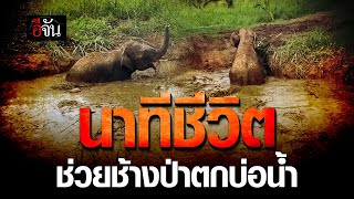 นาทีชีวิต ช่วยช้างป่าตกบ่อน้ำ อุทยานแห่งชาติกุยบุรี | อีจัน EJAN