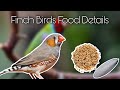 Finch Birds Food 2020 || ফিঞ্চ পাখির খাবার ২০২০||