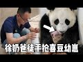 徐奶爸徒手抢夺喜豆幼崽，全程陪护22小时，简直太生猛了！【你好大熊猫】