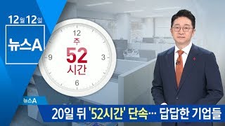 20일 뒤 ‘주 52시간 근로’ 단속…답답한 기업들 | 뉴스A