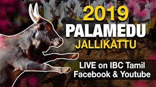 🔴 [Live] பாலமேடு ஜல்லிக்கட்டு 2019| Palamedu Jallikattu 2019 Presented by MAuto -Madurai Jallikattu