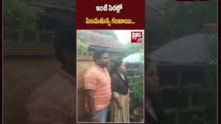 ఇంటి పెరట్లో పెంచుతున్న గంజాయి.. | Ganja Cultivation In House Yard | BIGTV