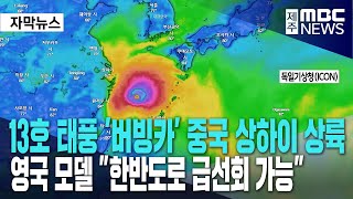 13호 태풍 '버빙카' 중국 상하이 상륙ㅣ영국 모델 \