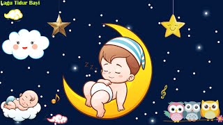 Tidur bayi musik -3 jam lagu pengantar tidur untuk perkembangan otak cerdas bayi -Lagu tidur #010