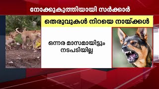 തെരുവുനായ ആക്രമണത്തിൽ ‌നോക്കുകുത്തിയായി സർക്കാർ | StrayDogs|Mathrubhumi News