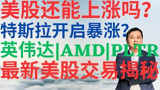 美股930|美股还能上涨吗?特斯拉开启暴涨?AMD趋势变了吗?PLTR危险吗?英伟达还能反弹吗?最新美股交易揭秘! #tsla #amd #pltr #nvda #美股分析 #stocks #ai