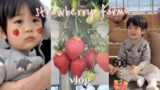 [vlog] 🍓 강화도 감성딸기밭 | 딸기따기 체험농장 | 19개월 아기 | 육아브이로그 | 아이와 가볼만한 곳