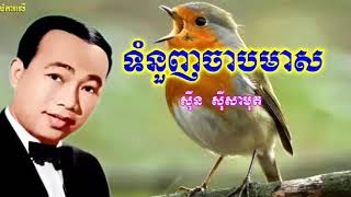 ទំនួញចាបមាស ច្រៀងដោយសុិនសុីសាមុត