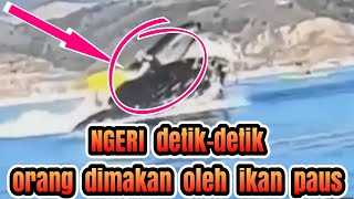 NGERI DETIK DETIK ORANG DI MAKAN IKAN PAUS