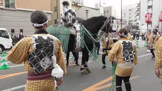 熊本藤崎八旛宮 秋季例大祭  飾馬奉納 熊花有志会 令和4年