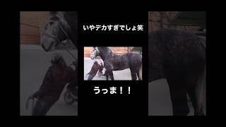 【BIG】デカすぎます笑#ショート #競馬 #ギャンブル #競馬予想サイト #子育て #デカ盛り