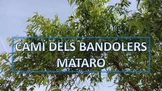 EL CAMÍ DELS BANDOLERS | Catalunya 1M de racons | Curiositats fent turisme i excursions a peu