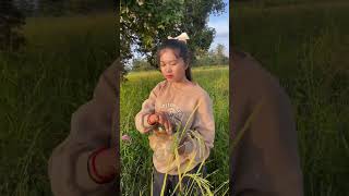 ផ្លែធ្លកចុចអំបិលម្ទេស เกลือพริกไทยขนุน