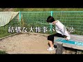 【熊本観光】山鹿市 一本松公園91mすべり台‼️ 迫力の石風車🍀