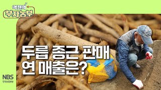 [역전의부자농부 299회] 두릅 종근 판매 연 매출은?