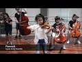Firework - Katy Perry - Joyous String Ensemble