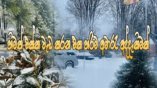 USA 🇺🇸🇺🇸🇺🇸 දස වසරකට පසුව වැටුණු දරැණුම හිම කණාටුවත් සමග වැටුන හිම ඉවත් කිරිම World Tour