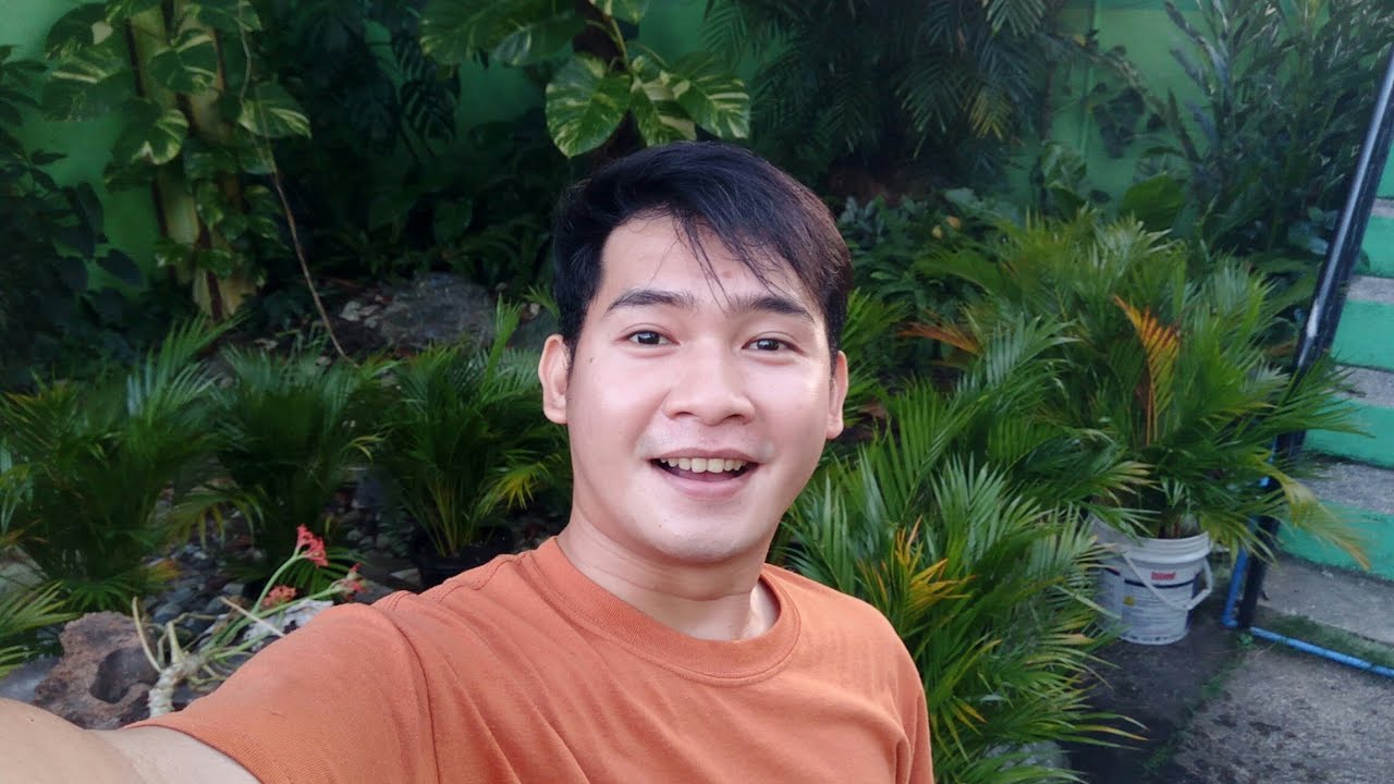 Garden Update Youtube