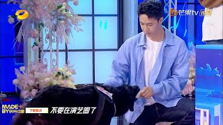 《天天向上》20210411期 预告：王一博变身训犬师 工作圈职能大比拼！ Day Day Up丨MGTV