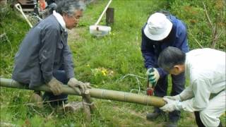 日野団塊世代広場百草山活動