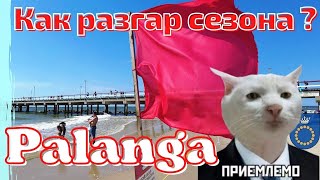 PALANGA в разгар летнего сезона! Столько отдыхающих 🙀 Литва