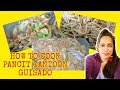 HOW TO COOK PANCIT CANTOON BIHON BY MADISKARTENG NANAY19