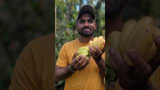 යතුරු කට්ටෙන් කෙසෙල් කමු | magic banana | sl crazy foods